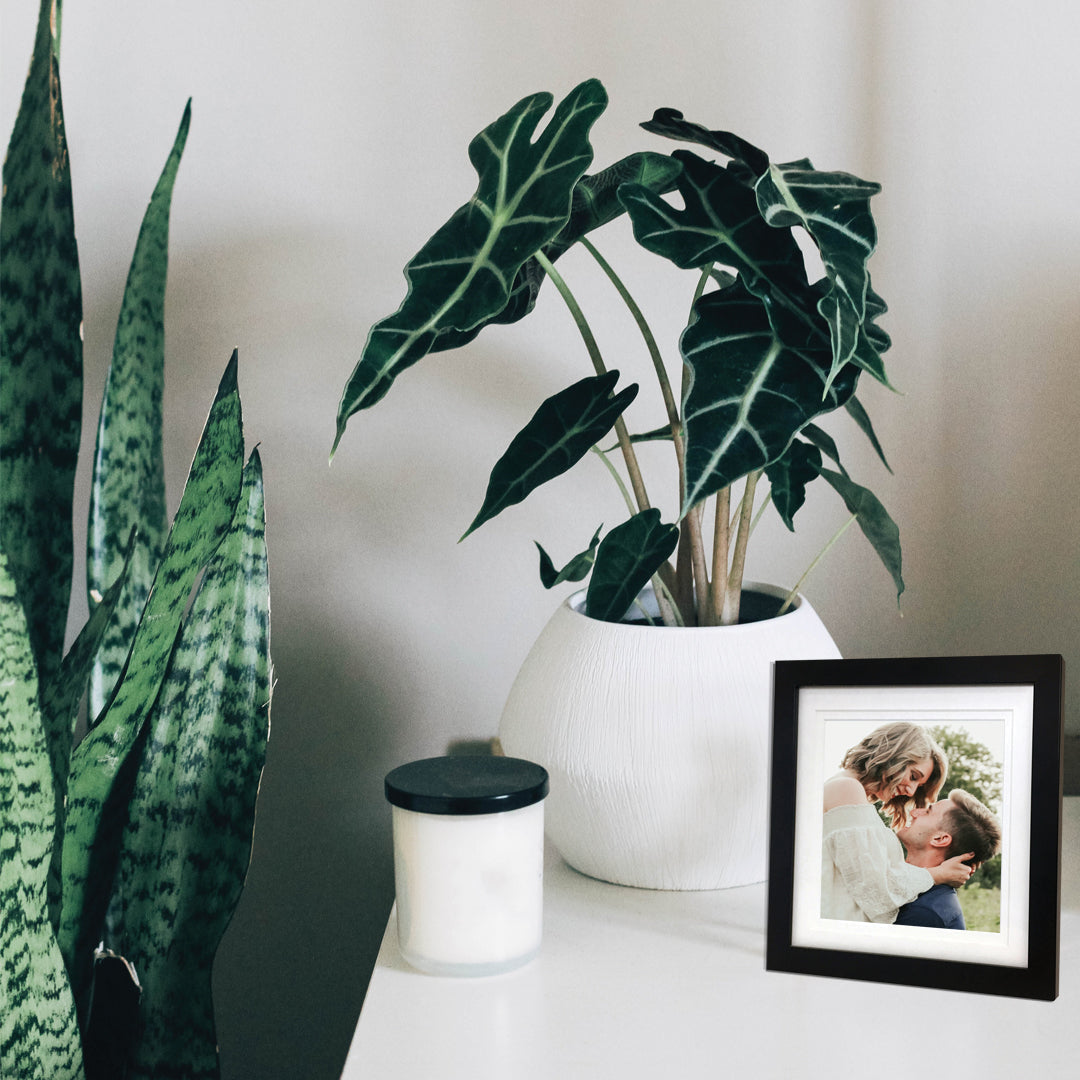 12x12” black timber frame