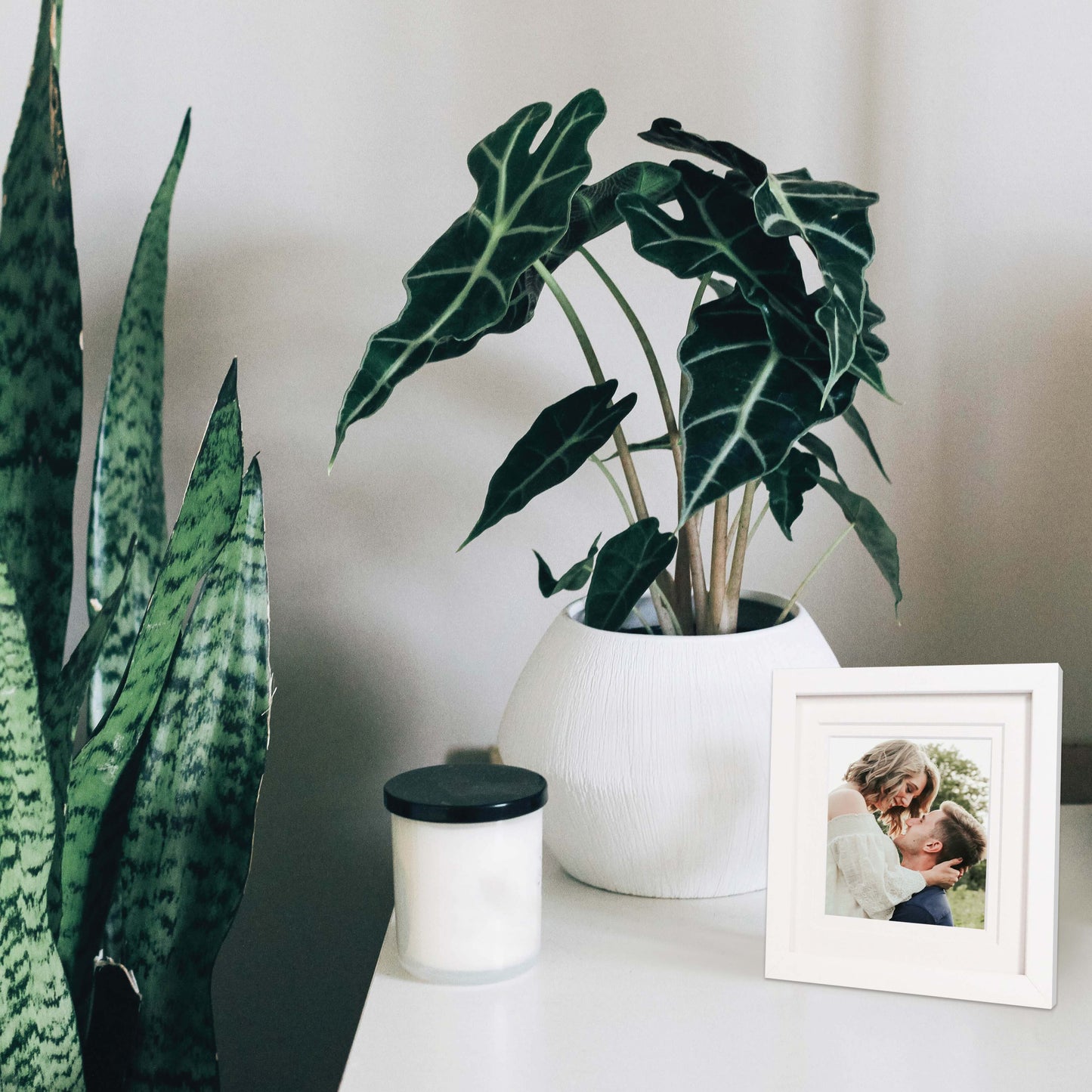 6x6” white timber frame